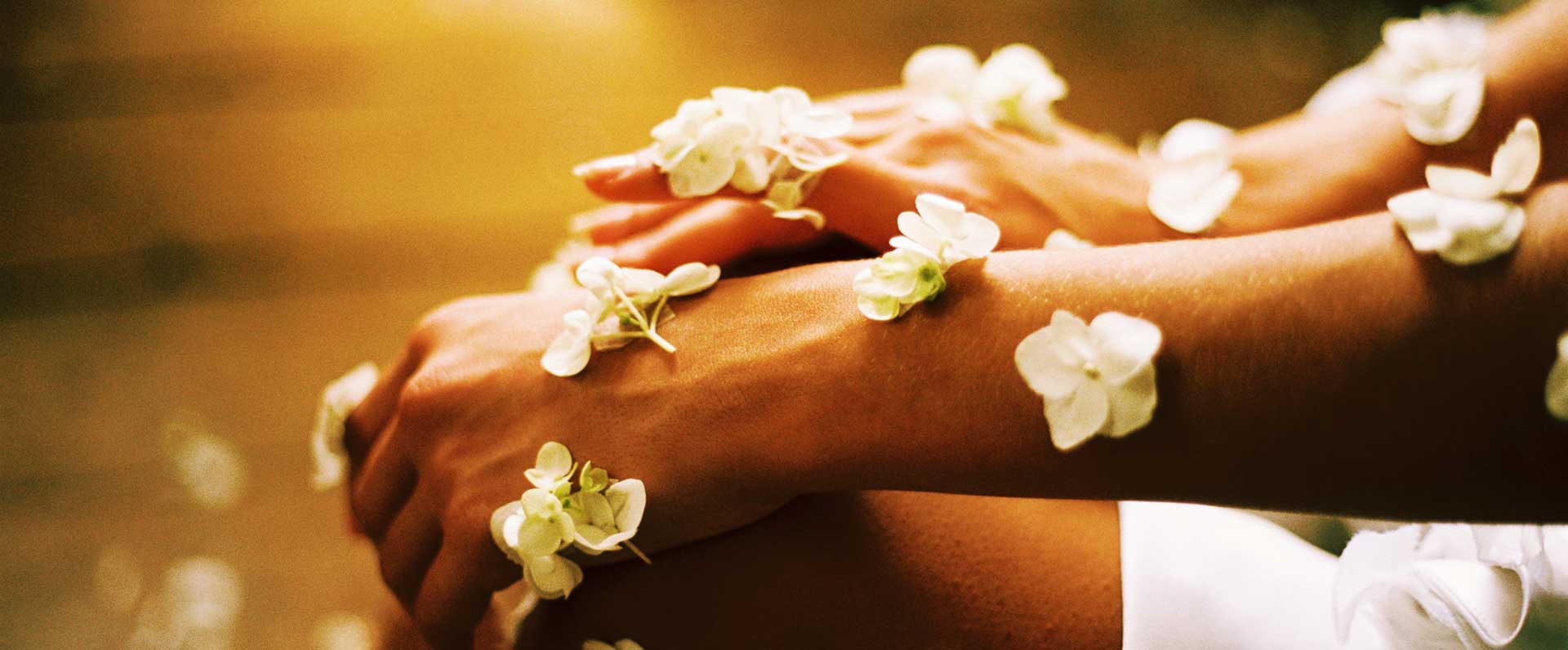 lorem ipsum dolor sit